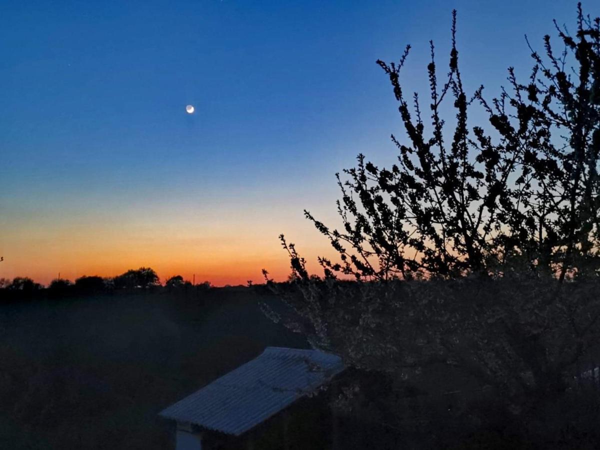 Gite Mimosa Saint-Florent-des-Bois ภายนอก รูปภาพ